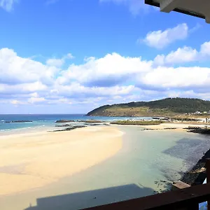 *** 酒店 海洋大酒店 韩国